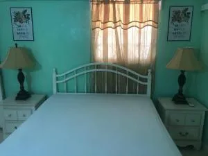 Mango Paradise - Reduit