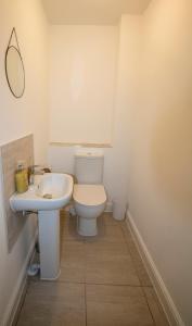 Serenity- Warm Calming