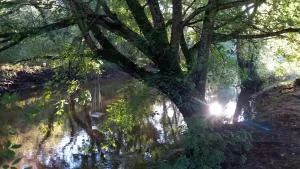 Les Rives de CAUPIAN - Saint-Aubin-de-Médoc