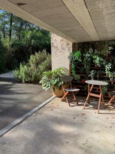 Maisons d'hotes Les Rives de CAUPIAN : photos des chambres