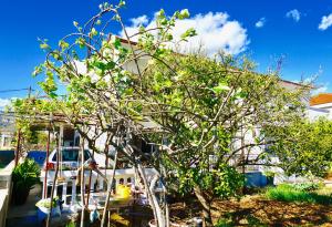 House Mariposa Trogir-Seget