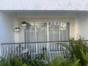 Cadaques Caribe Palmera 101