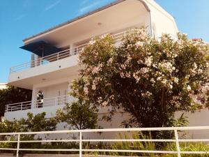 Agradable House