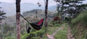 Rohana Estate Lodging & Camping