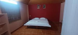 wild campers homestay