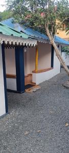 wild campers homestay