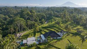 Romantic Cozy Three Bedroom Jungle View Villa in Ubud