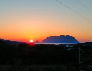 Affittacamere Mary's Rooms img42