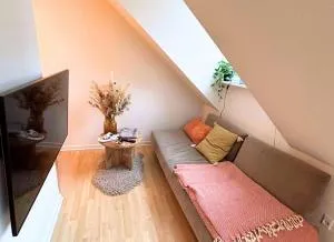 Cozy 1 room apartment in the heart of Odense - Blommenslyst