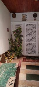 MADE in Transilvania