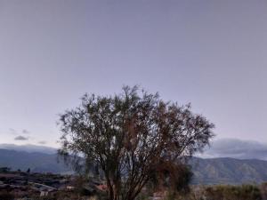Il Calice dellEtna