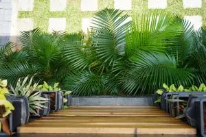 Nature 2BHK AC Villa - Trivandrum - Parattipalli