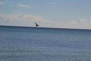 Residenz Prorer Wiek App 10 strandnah, mit Balkon by Unsere Urlaubszeit