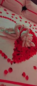 B&B GRECALE Suite & Spa