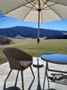 Neueröffnung, 2 wunderschöne Ferienwohnungen im Grünen - Grünenbach