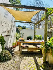 Agapanthus garden cottage