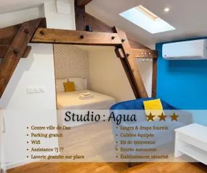 L'Agua, centre-ville de Dax - Seyresse