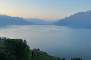 The Nest Lavaux