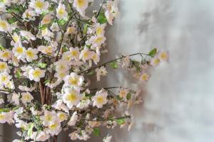 Boutique Pension Bennekom - Studios & Apartment