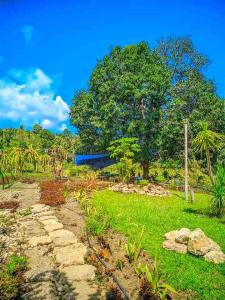 GKG FARM CEBU PH