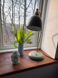 Digebjerggaard Bed & Breakfast