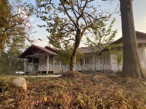 Evergreen Cottage
