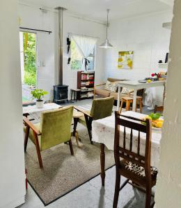 Agapanthus garden cottage