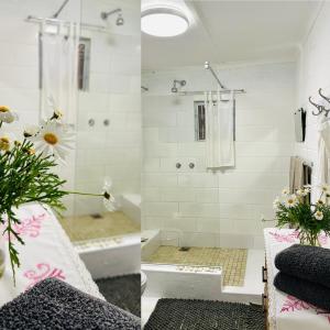 Agapanthus garden cottage