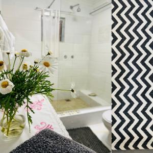 Agapanthus garden cottage