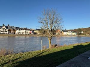 Ferienhaus-am-Moselufer