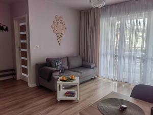 Apartament Miodowa w Straconce
