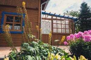 Przystanek Jeziorna 49