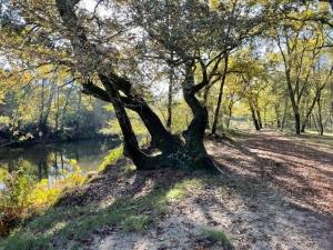 Campings Camping du Val de l'Eyre : photos des chambres