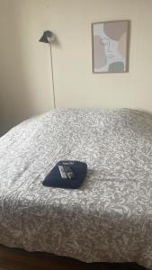 Bel appartement centre gare