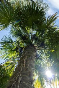 Flow Apartments WINKEL STUDIO