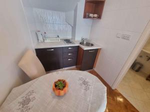 Apartments in Novi Vinodolski 15235