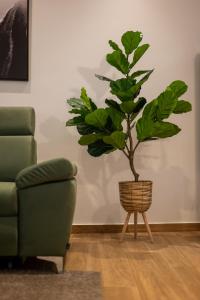 The Urban Nest by Belmont Realty