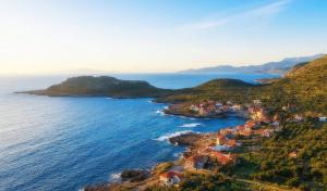 kipaki-trachila Mani