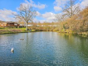Campings Mobile Home Luca - Sejour Nature : photos des chambres