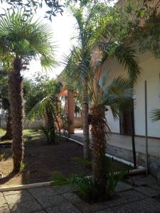 Casa la strea 1