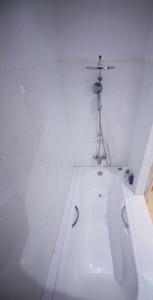 Marrakech River Palm