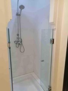 Marrakech River Palm