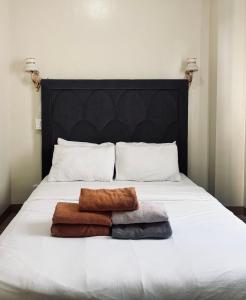 Spacious Chic Loft Haven