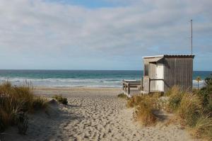Eco Shipping Container Home