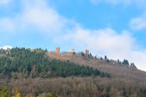 Maisons de vacances Le Gite De Luca : photos des chambres