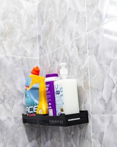 Lily one bedroom apartment with Island kitchen