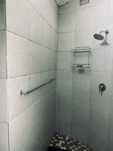 The Wool House & Pablos carolina