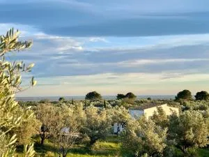 Can Mimosa - Amposta