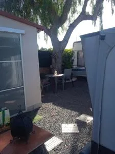 Las Caracolas Nauta - Cho