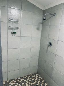 The Wool House & Pablos carolina